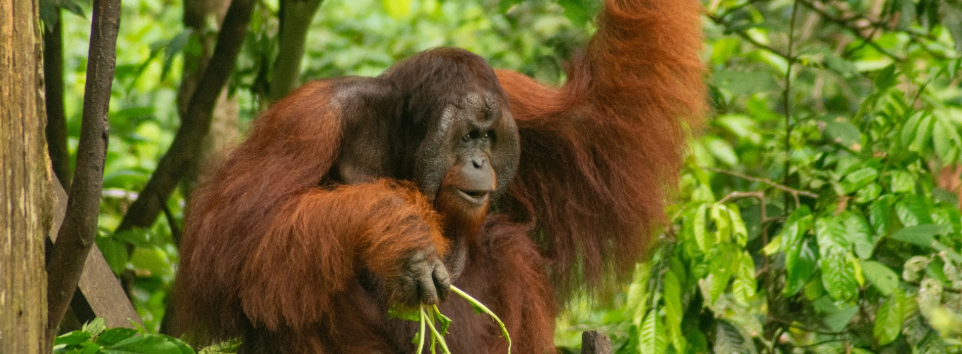 5-Day East Malaysia Travel Guide: Exploring Malaysia with Kids