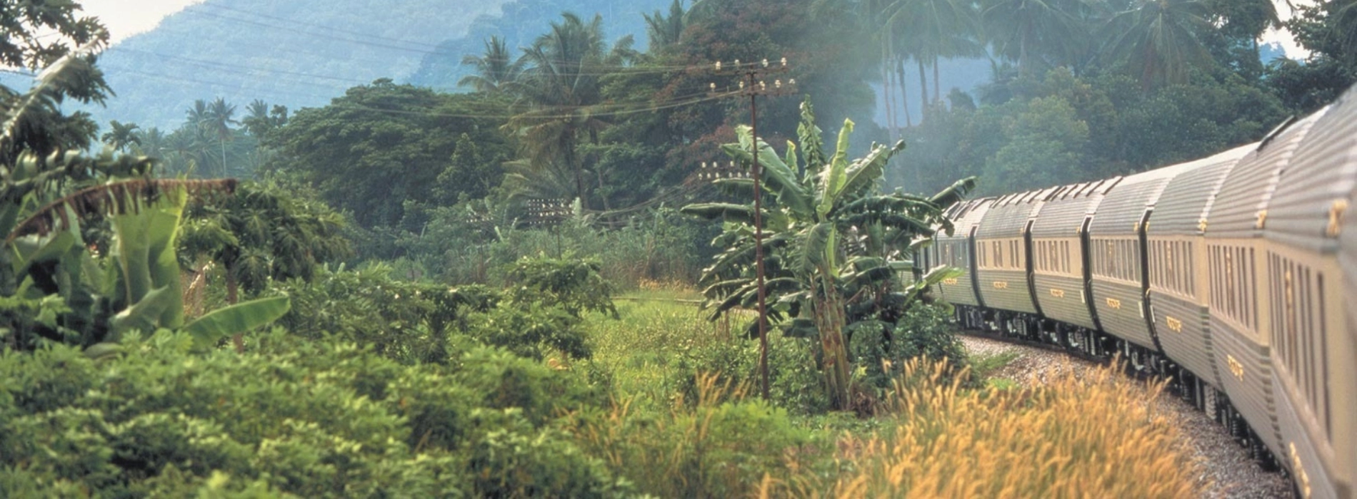 Malaysia Jungle Railway: A Great Journey Through the Jungle