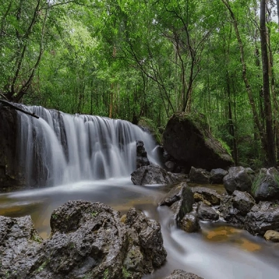 Tranh Stream