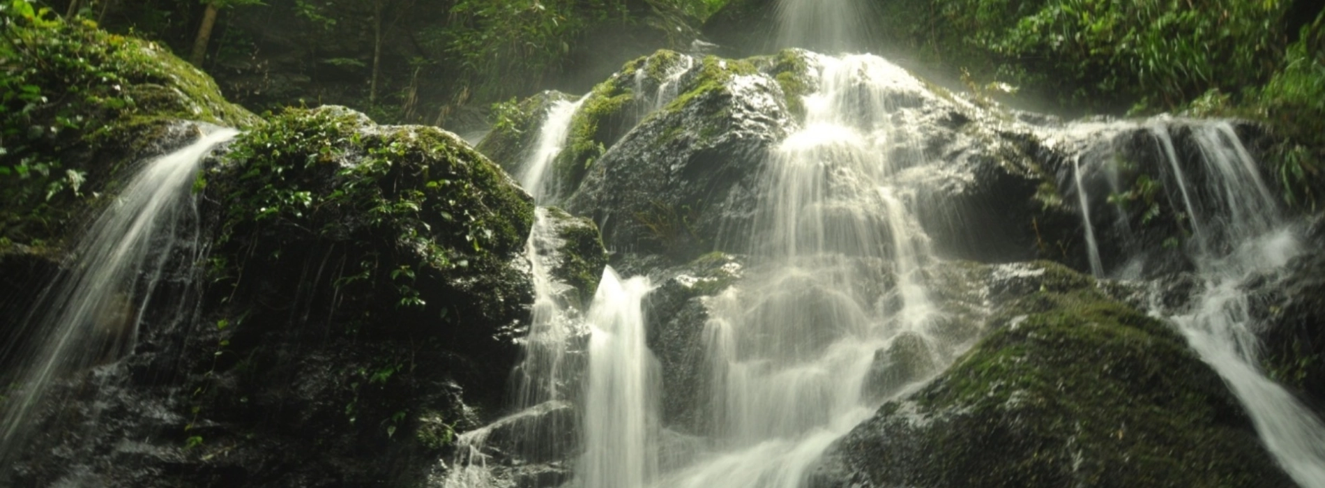 Kon Ka Kinh National Park
