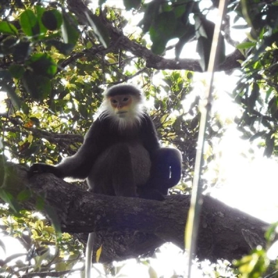 Kon Ka Kinh National Park