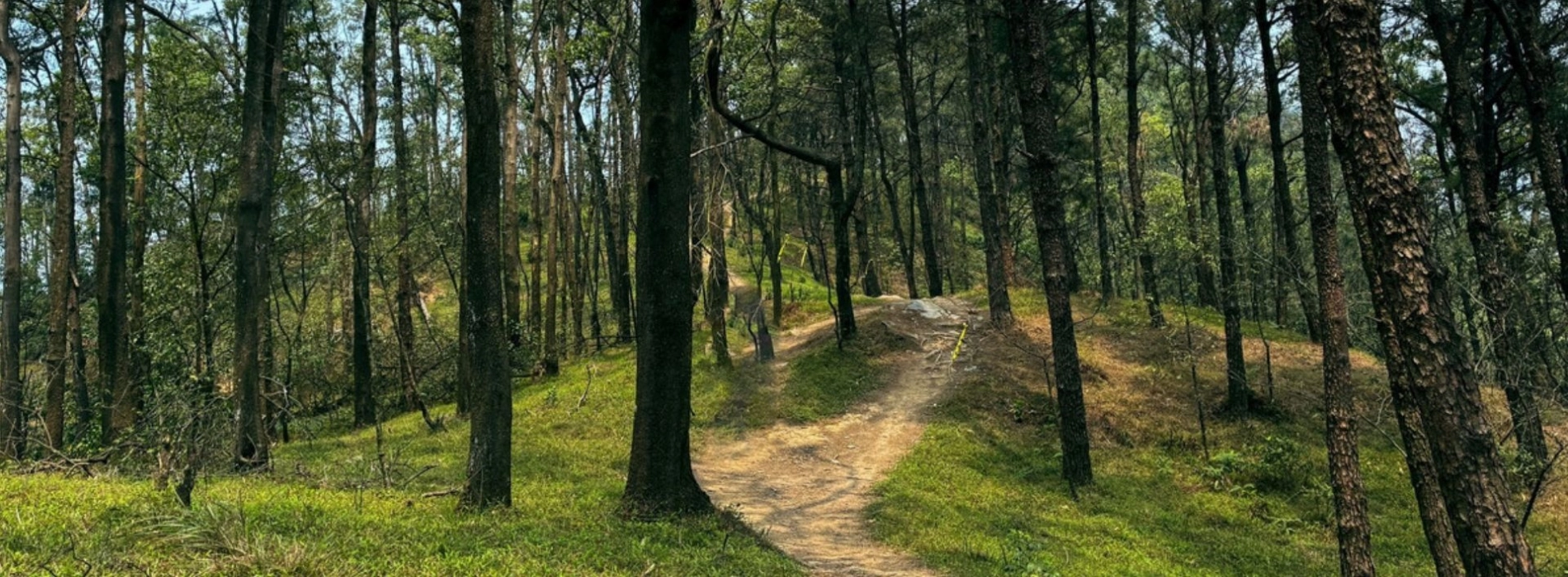 Ham Lon Mountain