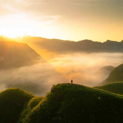 Vinh Quy Grass Hill