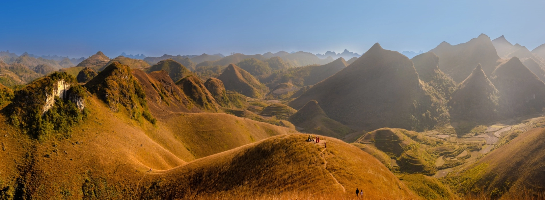 Vinh Quy Grass Hill