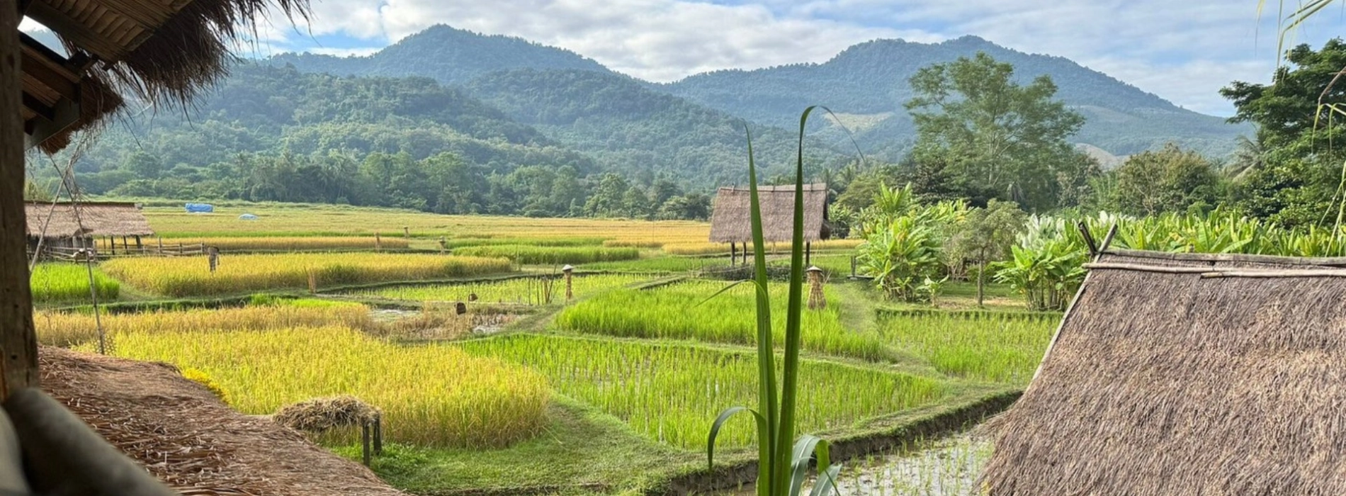 The Best Of Laos Ecotourism: A Neat 5-Day Laos Ecotour Itinerary