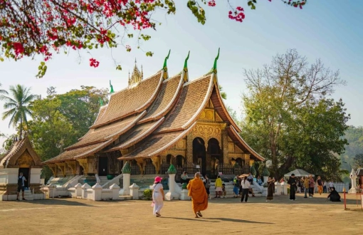Best Laos Tours for an Unforgettable Adventure