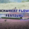 Buckwheat Flower Festival: A Memorable Moment of Ha Giang