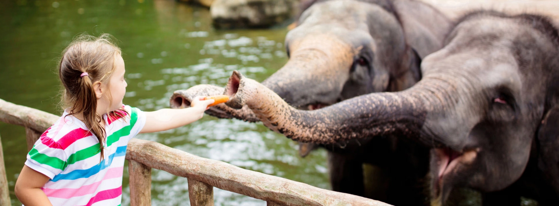 Travel Laos with Kids: Top Things to Do on Family Vacation