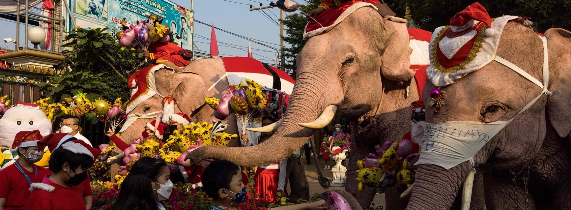 Christmas in Thailand: Where to Find the Best Holiday Vibes