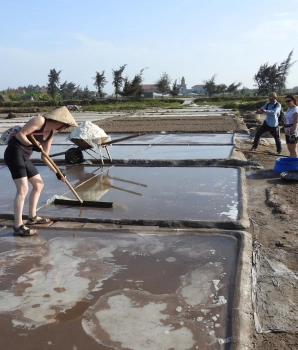 Nam Dinh Tour Full-day: Cultural Discovery