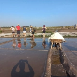 Nam Dinh Tour Full-day: Cultural Discovery