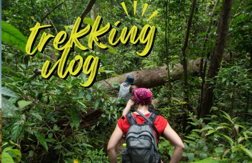 Top 10 Famous Areas for Trekking in Thailand