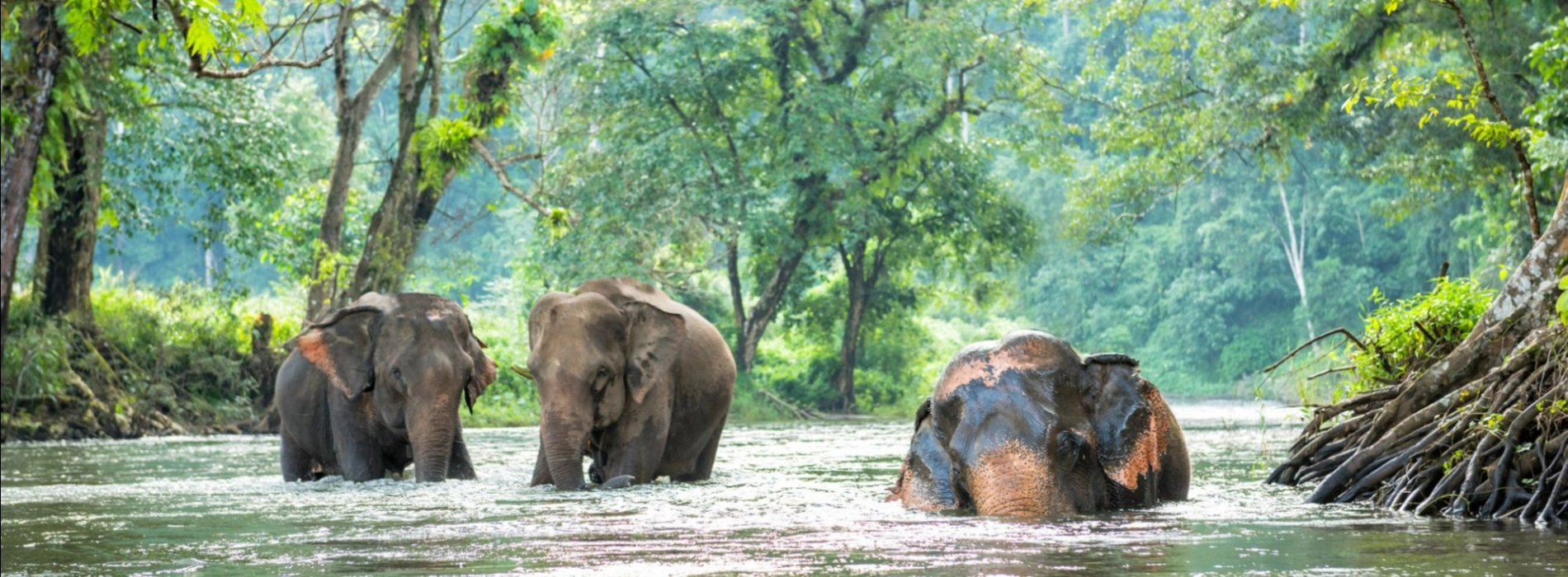 Top 10 Famous Areas for Trekking in Thailand