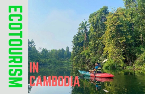 Ecotourism in Cambodia: Best Places and Experiences