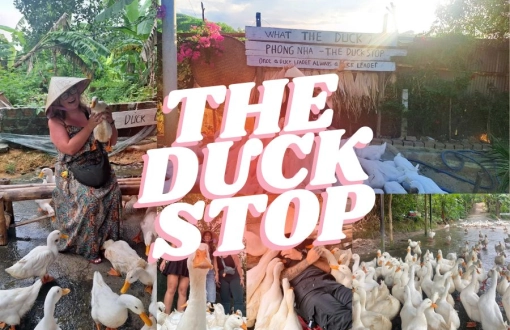 The Duck Stop Phong Nha: The Quirkiest Stop on Your Vietnam Travel List