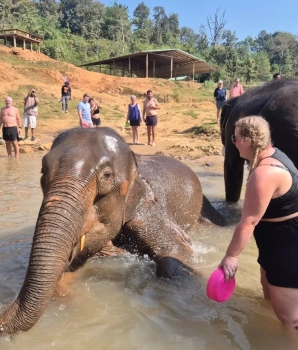 Chiang Mai Tour 4 Days: Sky Lantern Festival Escape