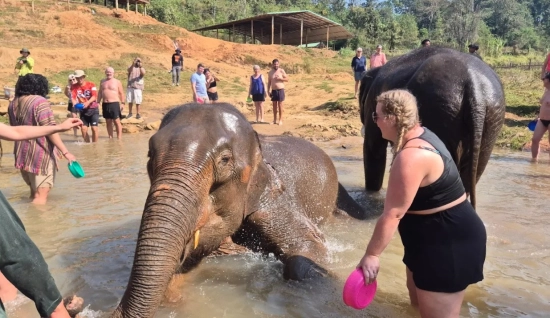 Chiang Mai Sky Lantern Festival Escape 4D3N