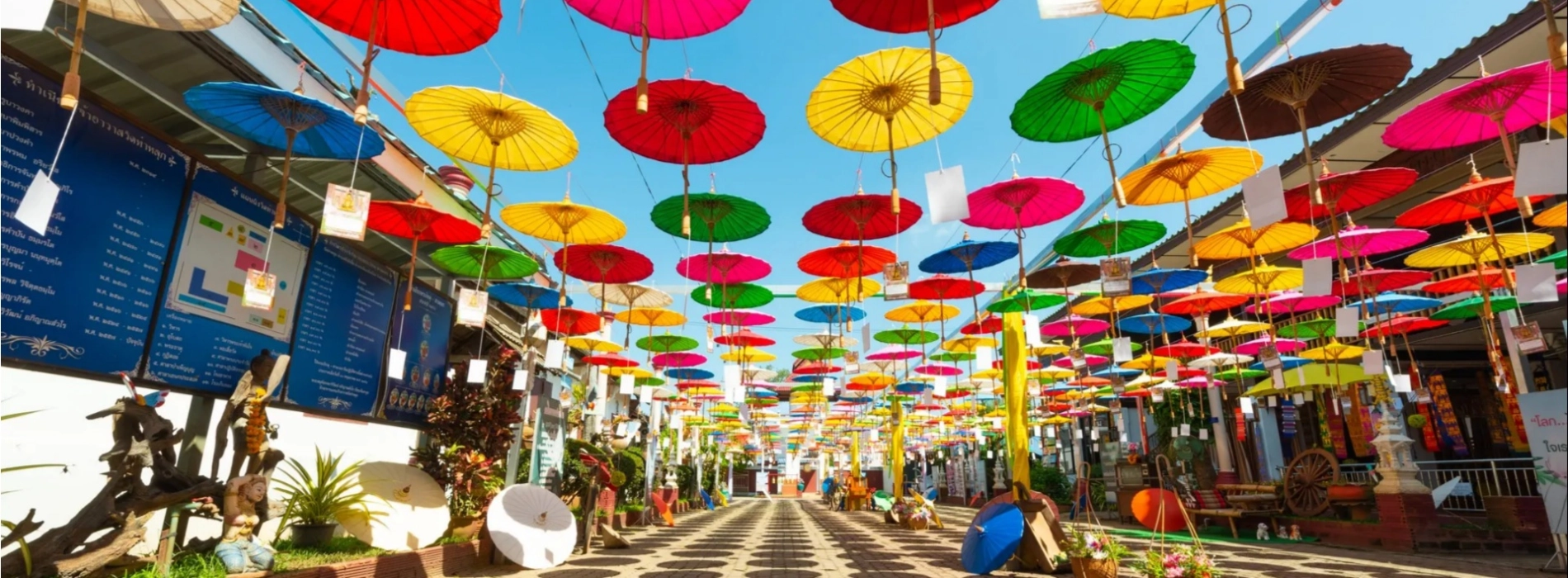 Top activities and excursions to do in Chiang Mai