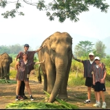 Thailand Tour 8 Days: Under the Lantern Lights