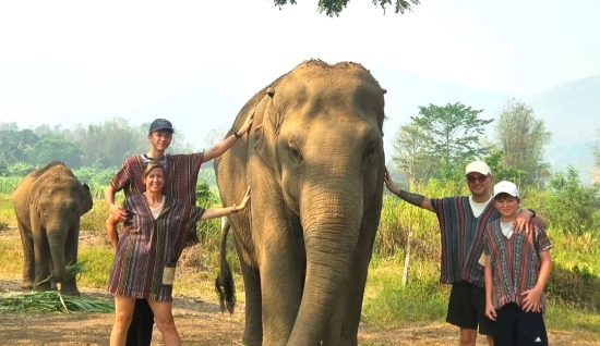 Thailand Tour 8 Days: Under the Lantern Lights