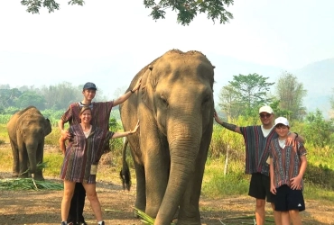 Chiang Mai Elephant Jungle Sanctuary: Full Day Experience (B/L) Join-in tour