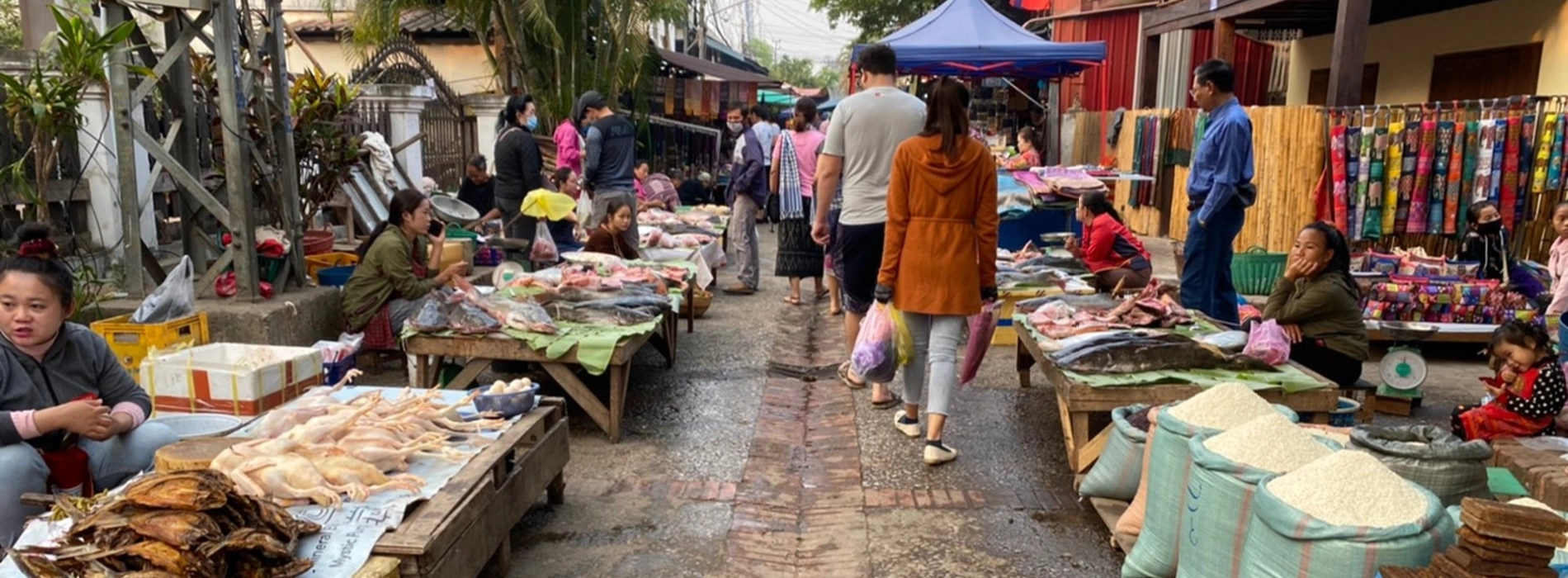 Traditional Morning Markets in Thailand Locals Still Visit