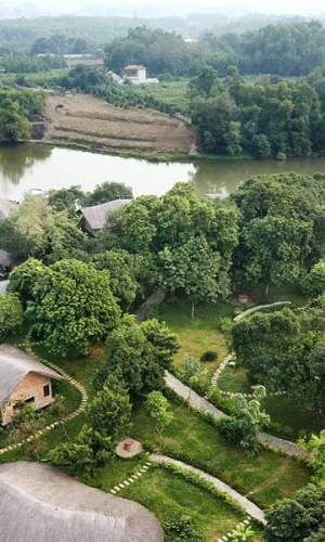 Vietnam’s Best Eco-Villages: Authentic Experiences in Nature