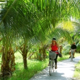 Can Tho Wellness Tour 5 Days: Mekong Slow Living & Metabolic Wellness