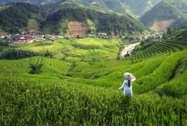 Lao Cai – Sapa – Lao Chai - Tavan - Giang Ta Chai (B/L)