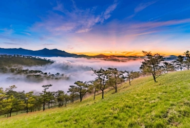 Dalat (B, L)