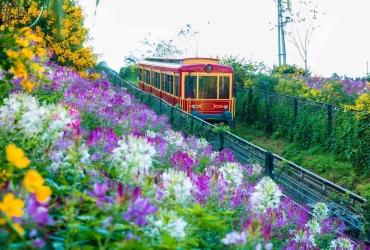 Lao Chai – Tavan – Giang Ta Chai - Night Train back to Hanoi (B/L)