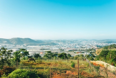 Da Lat Free Day (B)