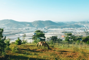 Da Lat Free Day (B)