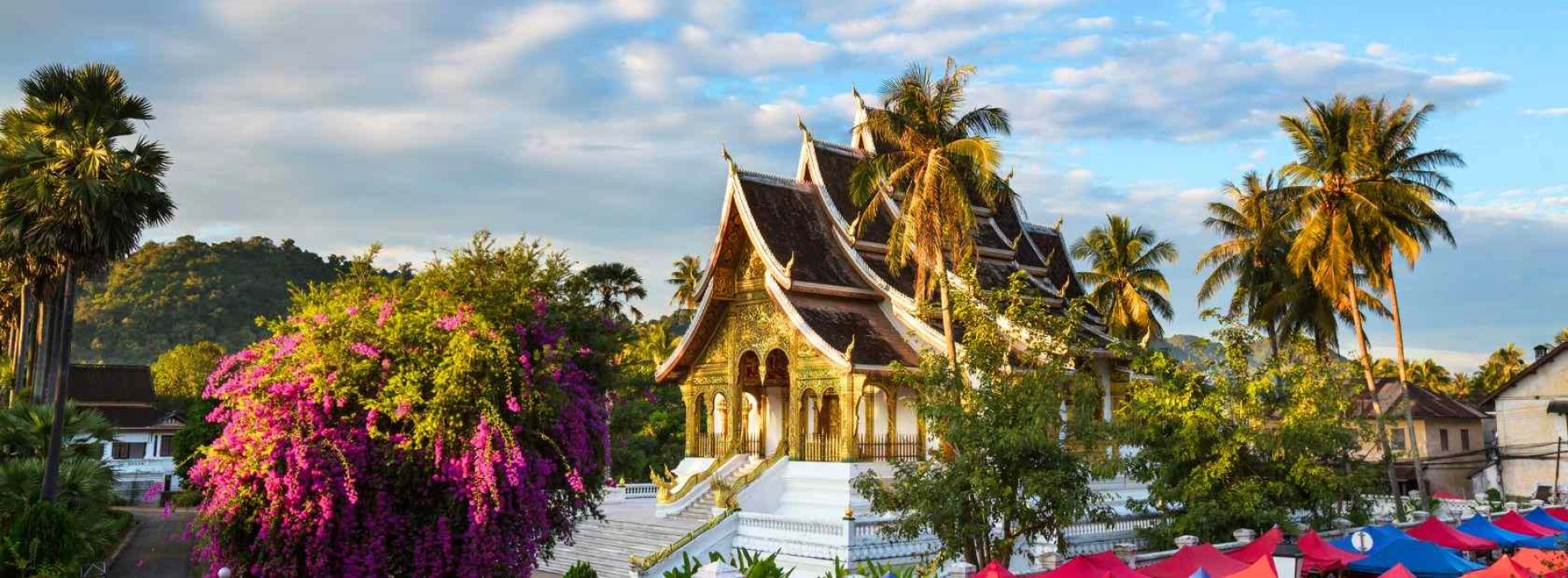 Discover Northern Laos: From Cuisine and Nature to Its People