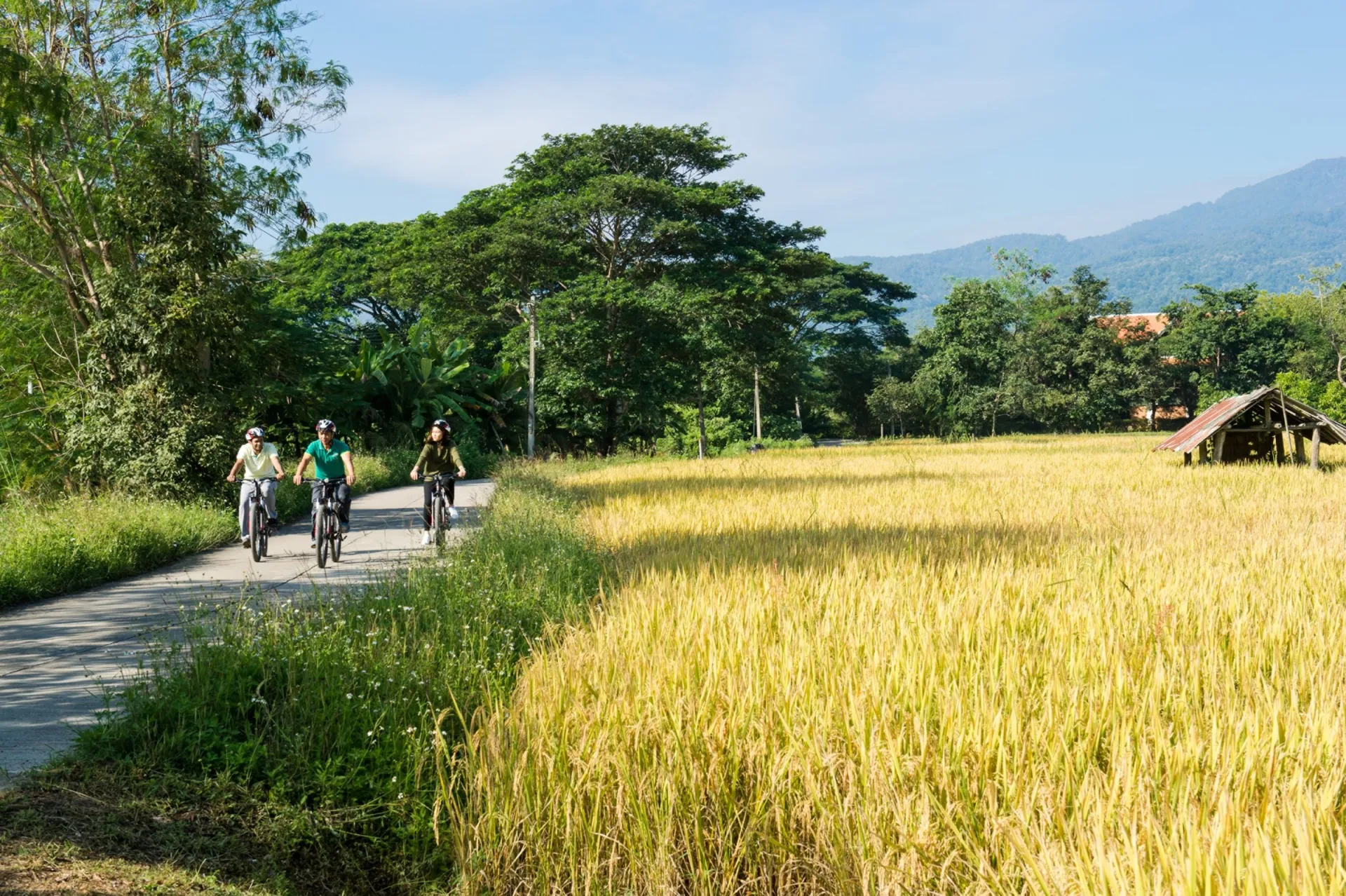 Thailand Luxury Family 11 days: Elephants, Temples & Beach – photo 5