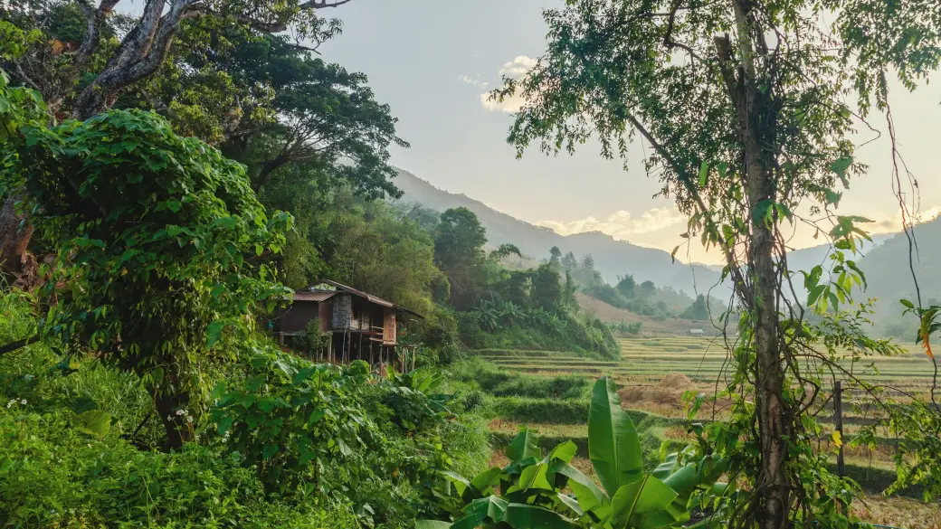 Chiang Mai – Countryside and artisan villages