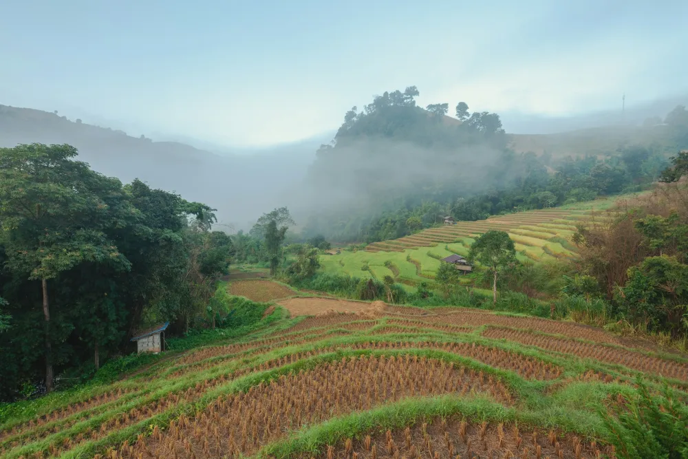 Chiang Mai – Jungle canopy or countryside bike ride