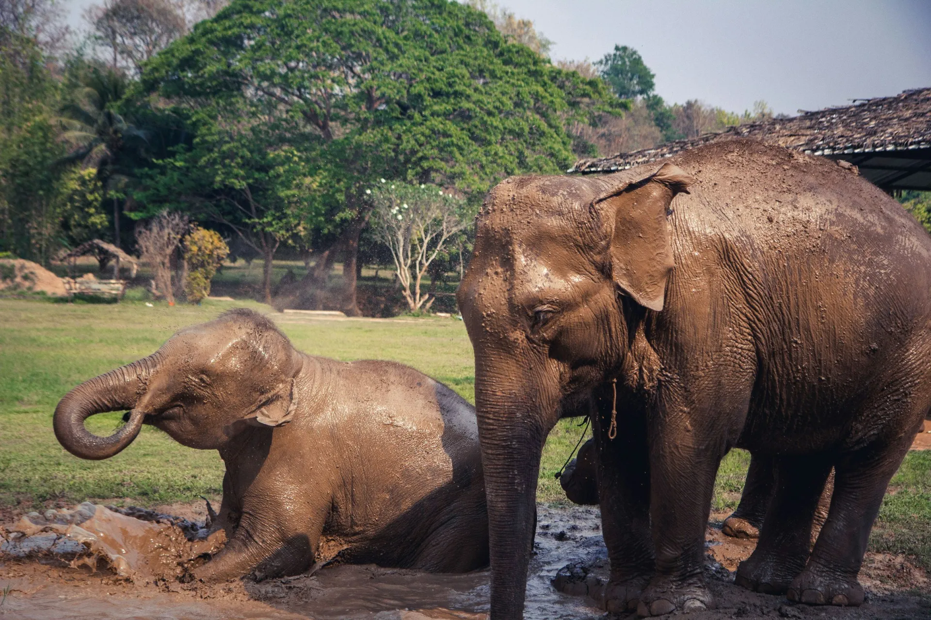 Thailand Luxury Family 11 days: Elephants, Temples & Beach – photo 3