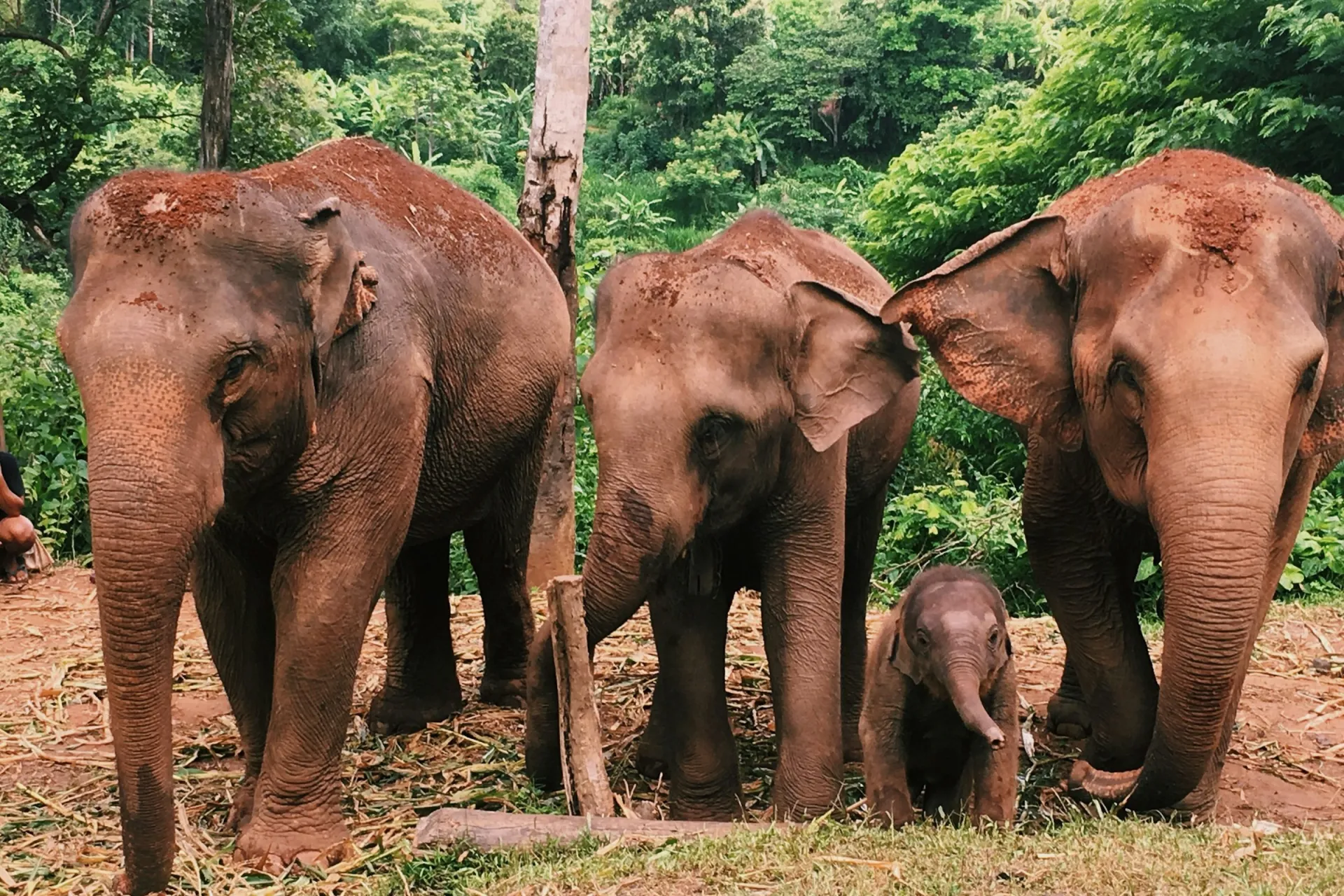 Golden Triangle & Andaman Islands 14 days – photo 6