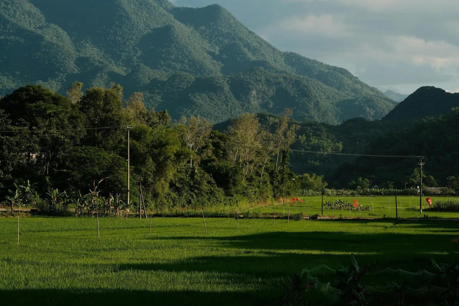 Northern Vietnam Luxury Escape 8 days – photo 7