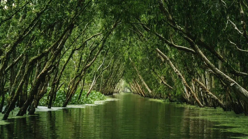 Saigon – A private day in the Mekong Delta