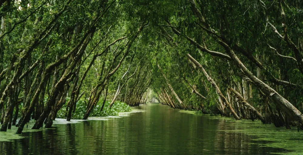 Saigon – A private day in the Mekong Delta