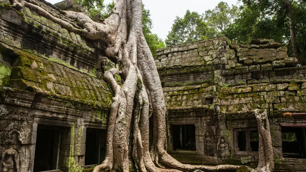 Siem Reap – Ta Prohm and Banteay Srei by vintage jeep