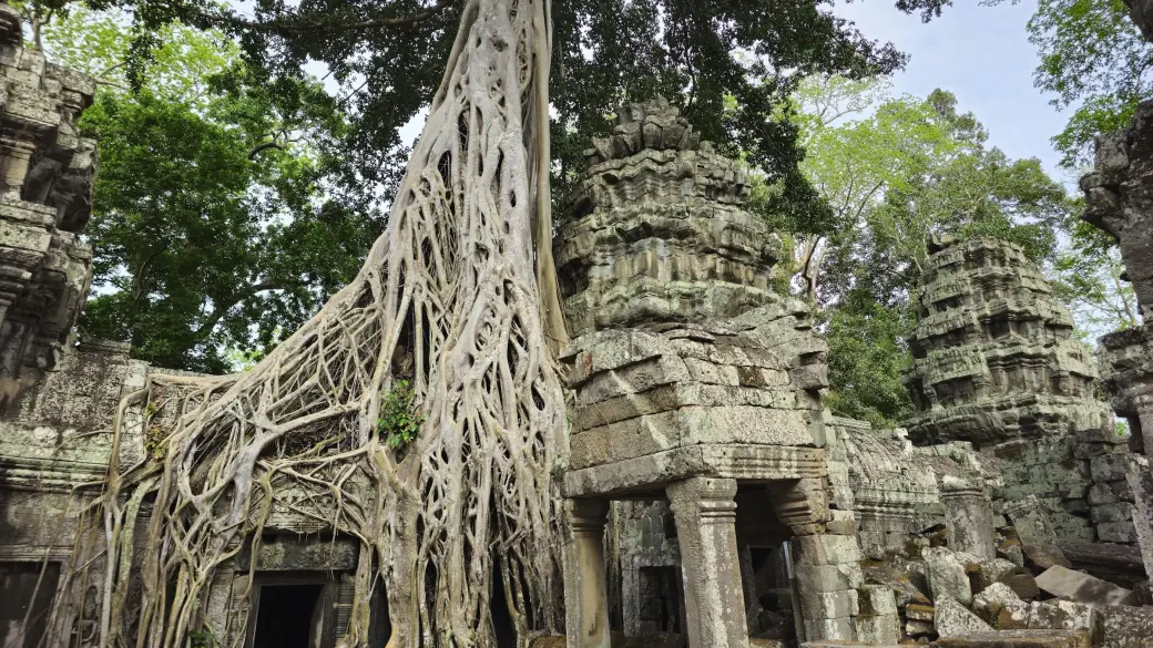Siem Reap – Ta Prohm and Banteay Srei
