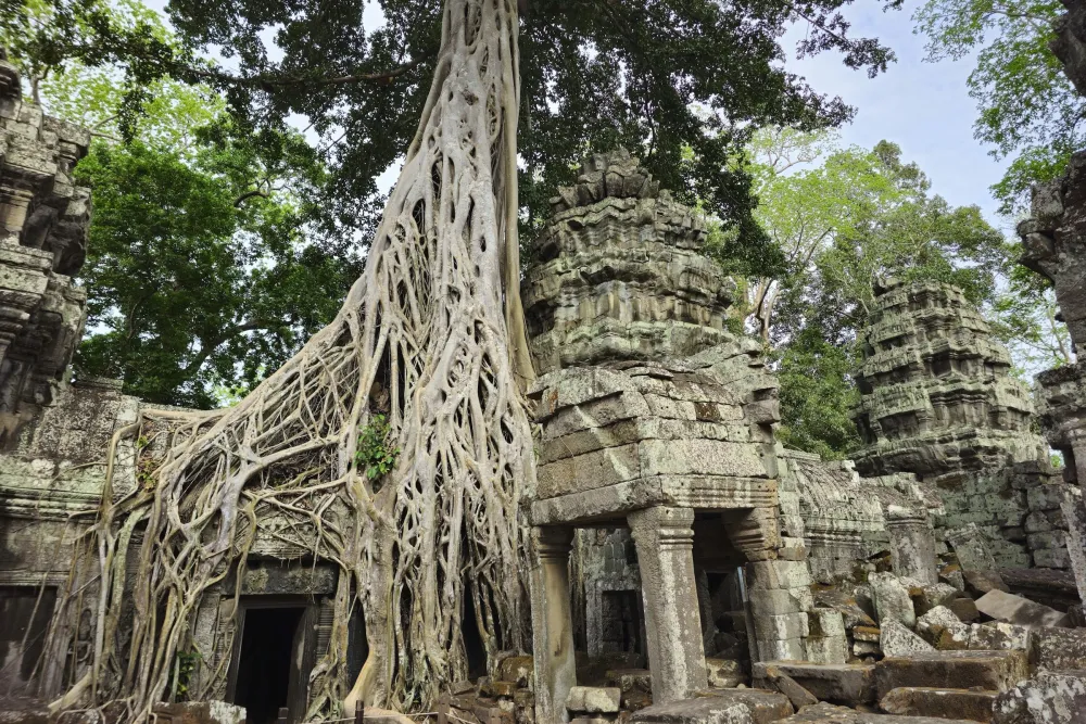 Siem Reap – Ta Prohm and Banteay Srei