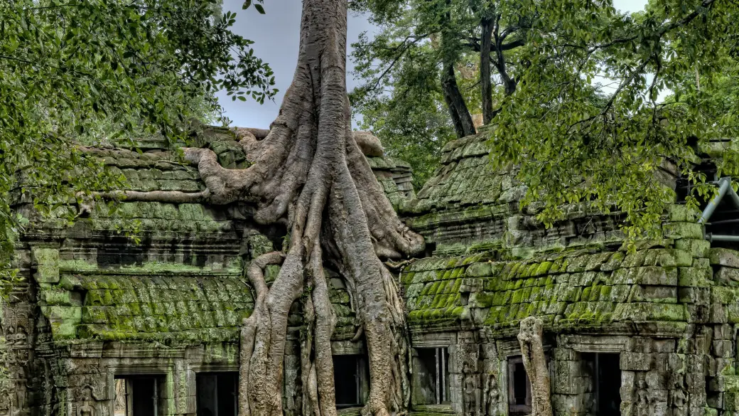 Siem Reap – Ta Prohm and Banteay Srei by vintage jeep