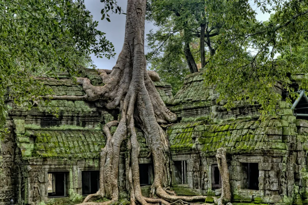 Siem Reap – Ta Prohm and Banteay Srei by vintage jeep