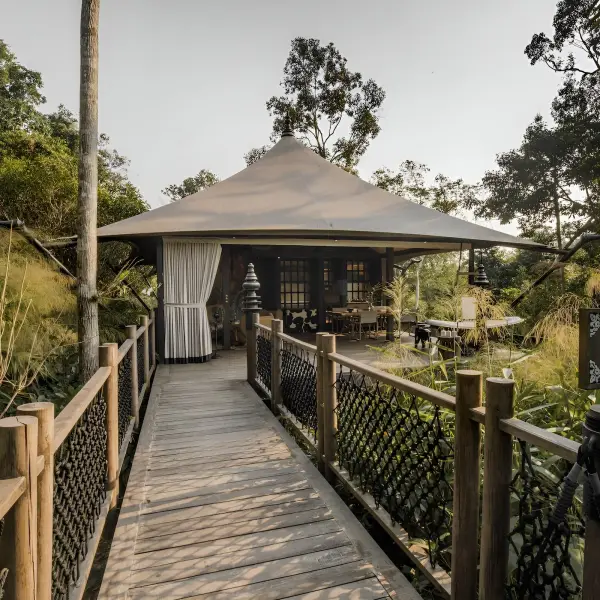 A boardwalk to a tented villa in the Cardamom rainforest