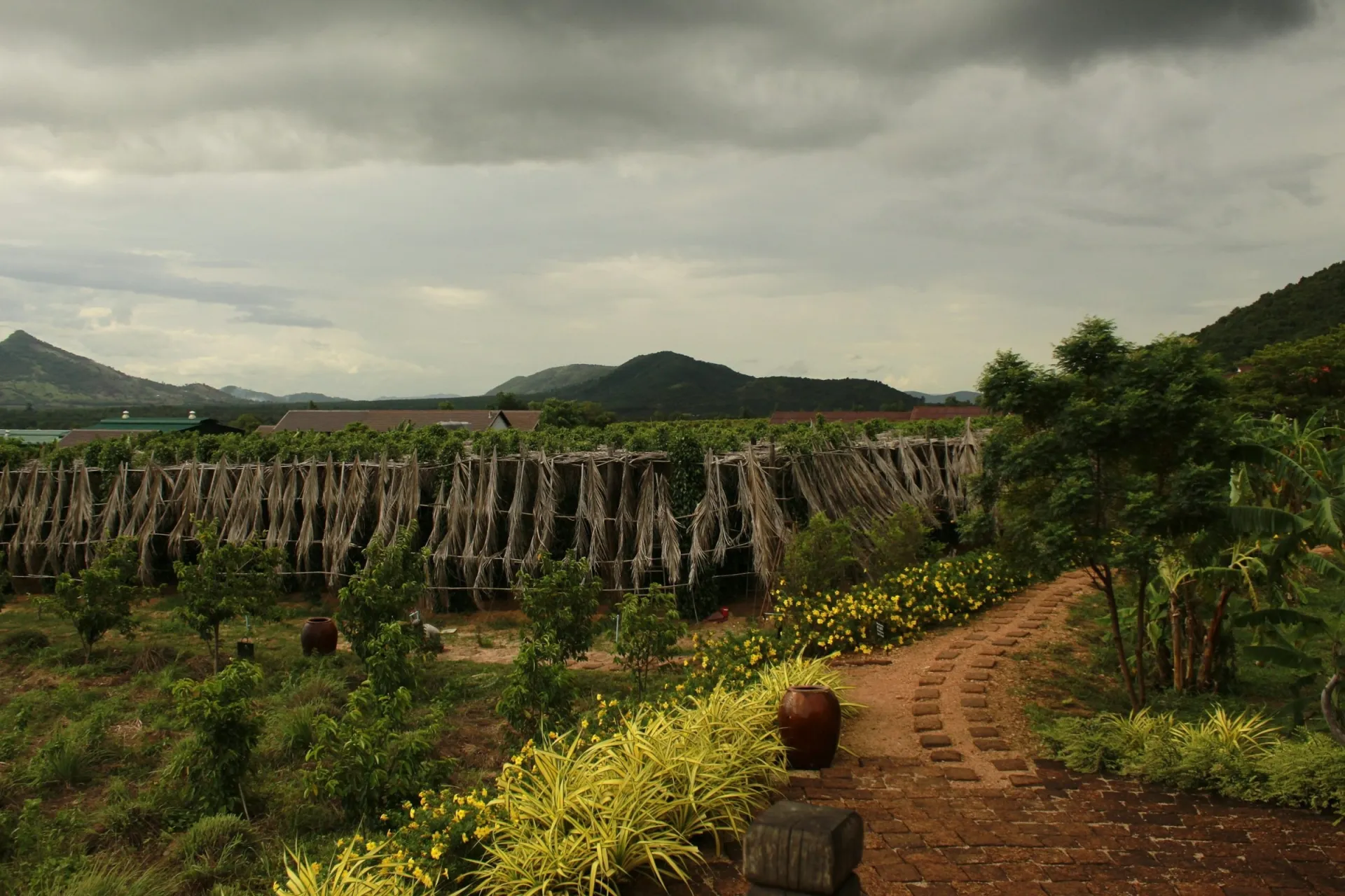 Angkor, Phnom Penh & the Kep Coast 9 days – photo 4