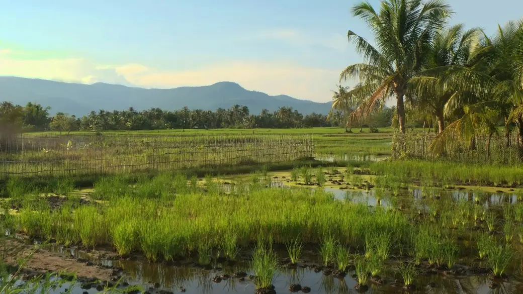 Kep – Phnom Penh – Departure